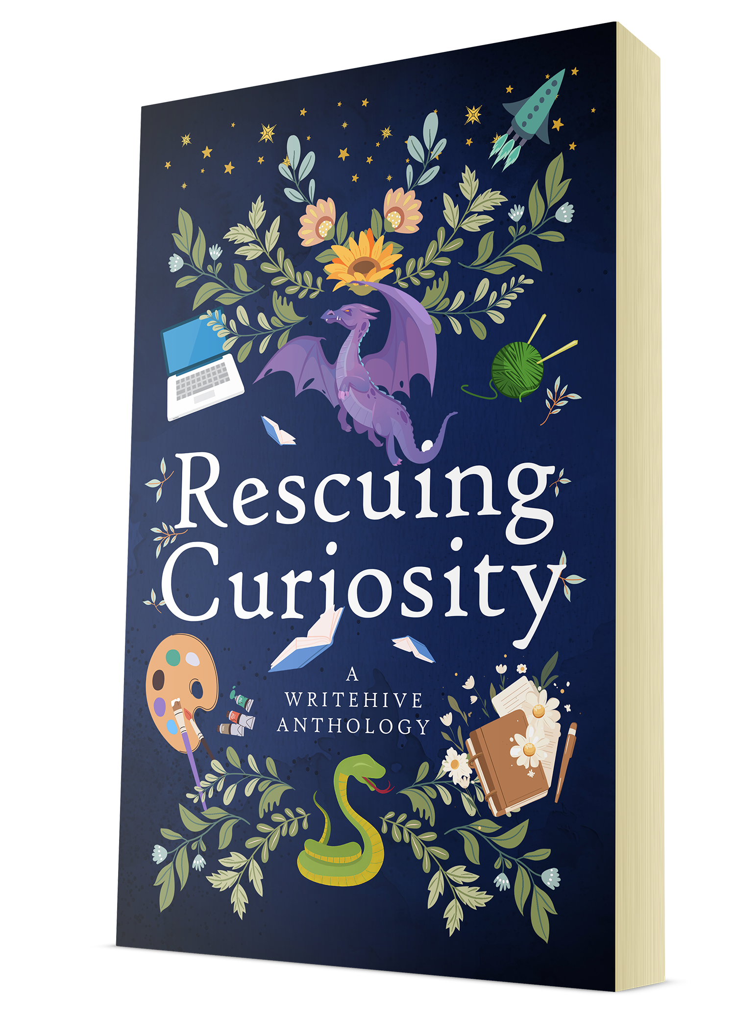 Rescuing Curiosity (Paperback)